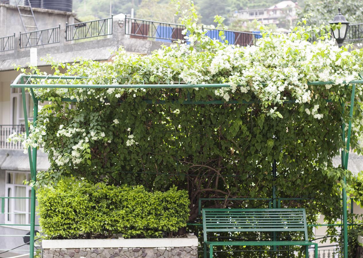 Savoy Greens Kasauli Ngoại thất bức ảnh